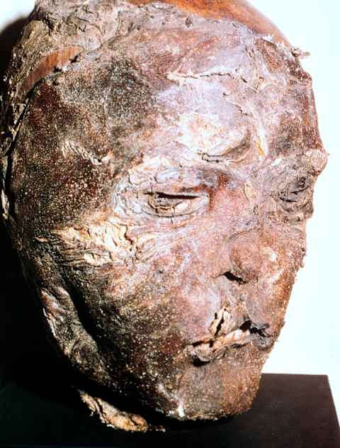 Mummified head of a Scythian chief.