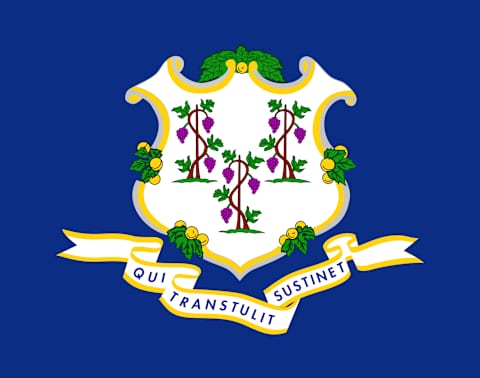 Connecticut state flag.