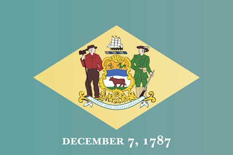 Delaware state flag.