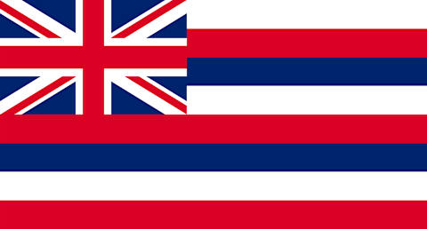 Hawaii State Flag.