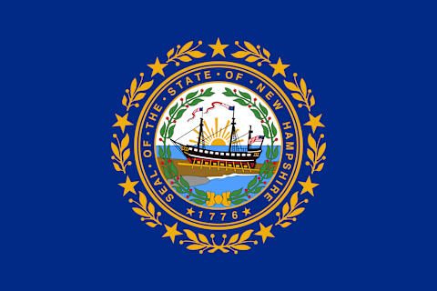 New Hampshire state flag.