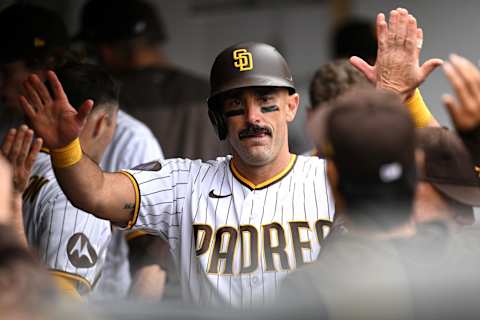 May 17, 2023; San Diego, California, USA; San Diego Padres designated hitter Matt Carpenter (14) is