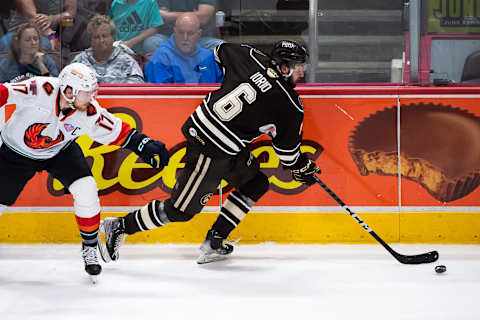 Vincent Iorio, Hershey Bears