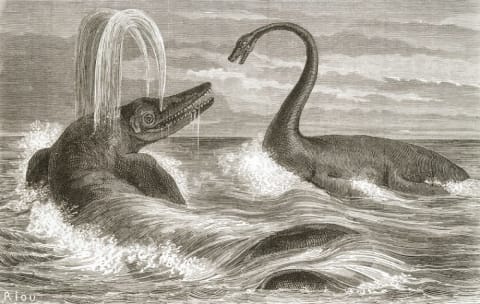 THE ICHTHYOSAUR AND THE PLESIOSAUR (LIAS PERIOD), EDOUARD RIOU;