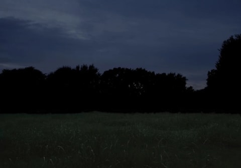 ON THE RUN. NORTH OF THE CANE RIVER PLANTATIONS, LOUISIANA, 2013