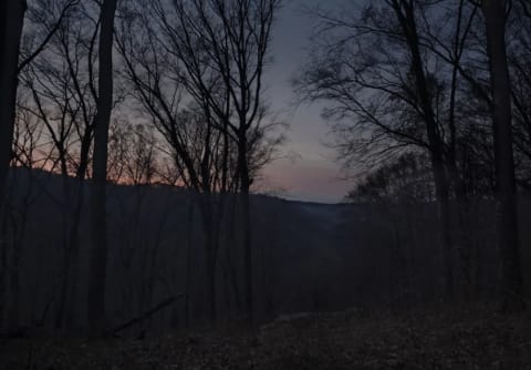 FOLLOWING THE GREEN RIVER. EDMONSON COUNTY, KENTUCKY, 2014