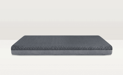 SleepDog Mattress