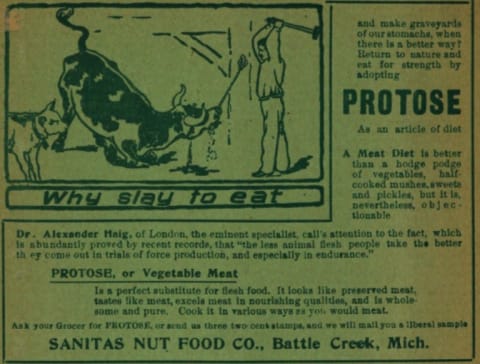 Protose was an early meat alternative.