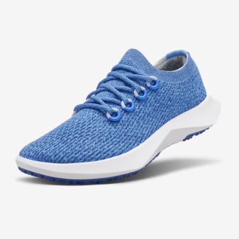 Allbirds Tree Dashers