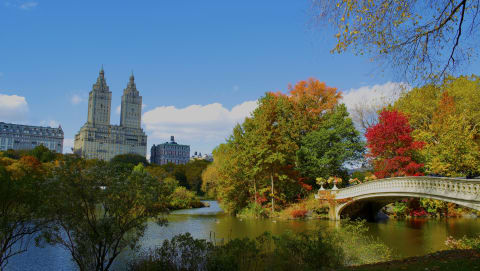 A classic view of New York City's Central Park