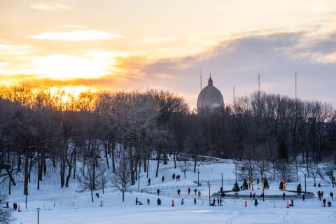 Montréal's Parc du Mont-Royal in winter