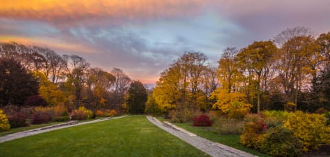 Sunset at Arnold Arboretum in Boston