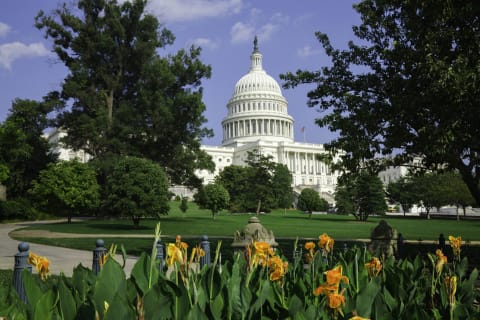 The U.S. Capitol grounds in Washington, D.C.