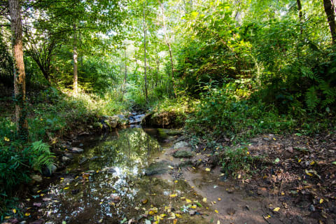 Deepdene Park, one of the segments of the Olmsted Linear Park in Atlanta, Georgia