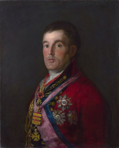 'The Duke of Wellington' by Francisco Goya.