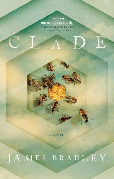 'Clade' 