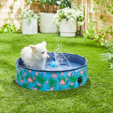 Frisco Outdoor Dog Swimming Pool