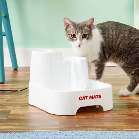 Save on useful gadgets for around the house that even your pets will dig.