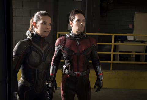 Evangeline Lilly and Paul Rudd in 'Ant-Man and the Wasp' (2018).