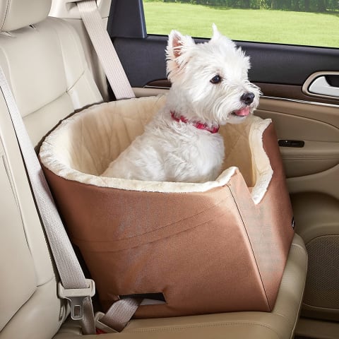 This pet booster seat is one of the many hidden gems you can find through Amazon Basics.