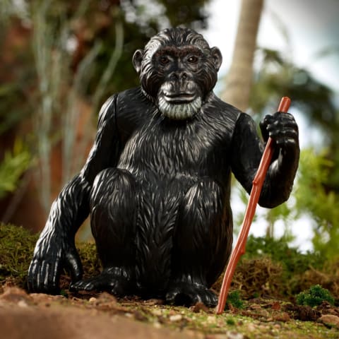 Greybeard and his termite tool.