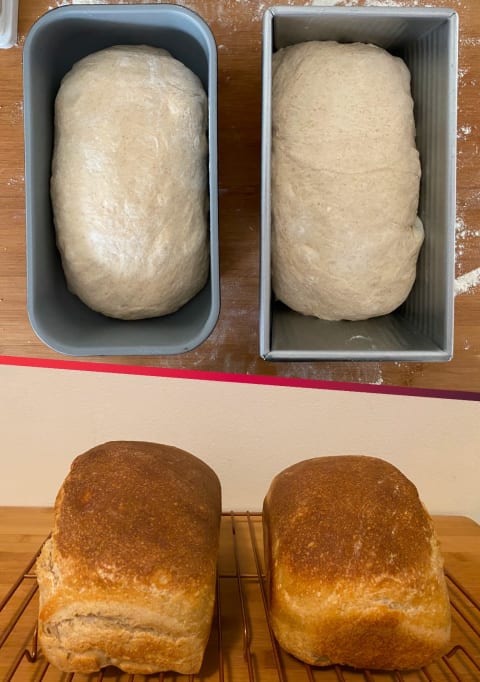 Sourdough before and after. In the top image, the Caraway pan is on the left; in the bottom image, the loaf baked in the Caraway pan is on the right.