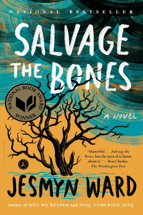 'Salvage the Bones' 