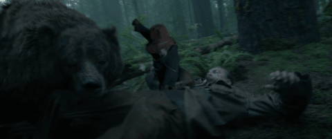 Paddington showing his violent side in 'The Revenant' (2015).