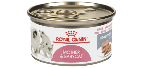 Royal Canin Feline Health Nutrition Mother & Babycat Canned Wet Cat Food