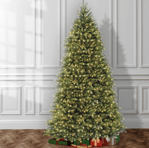 Dunhill Fir Lighted Artificial Fir Christmas Tree