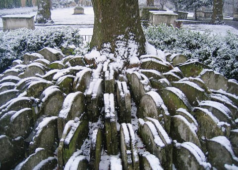 Snow dusts the headstones that Hardy arranged around an ash tree near St. Pancras.