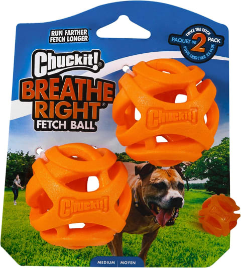 Chuckit! Air Fetch Ball Dog Toy