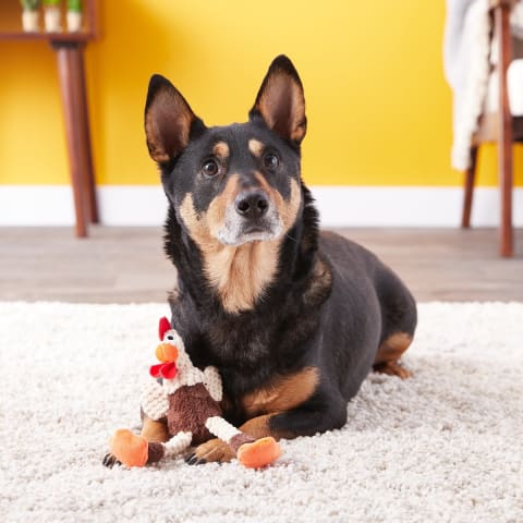 GoDog Checkers Chew Guard Rooster Squeaky Plush Dog Toy