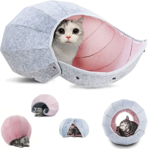 K·1 Cat Cave Condo