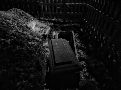 Being buried alive was a legit fear, but it wasn't the source of the phrase 'dead ringer.'