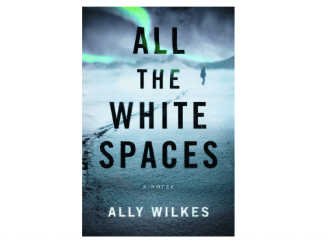 'All the White Spaces' by Ally Wilkes