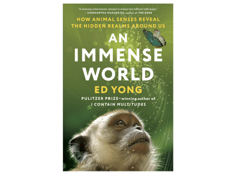 'An Immense World: How Animal Senses Reveal the Hidden Realms Around Us' by Ed Yong