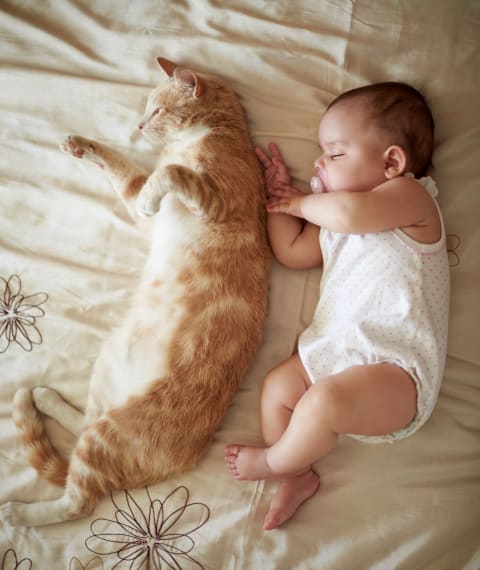 Cats are good for kids.