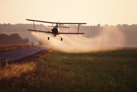 A plane cropdusting.