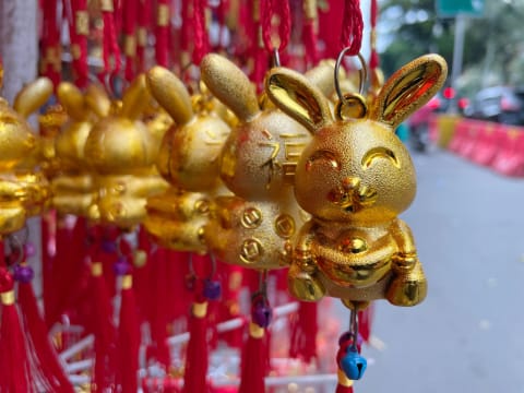 The holiday kicks off on January 22 and marks the Year of the Rabbit, but that changes annually. 