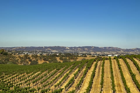 Wine country around Paso Robles, California.