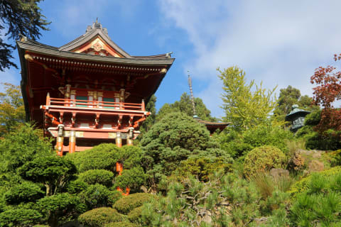 The Japanese Tea Garden in San Francisco, California.