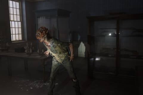 A human infected with Cordyceps fungus in 'The Last of Us.'