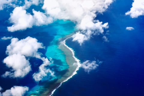 A reef off the island of New Caledonia, near the New Hebrides Trench