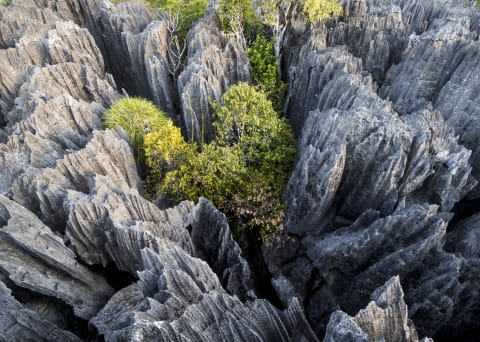 Limestone formations in Madagascar’s Tsingy de Bemaraha National Park