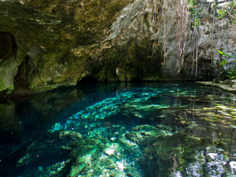 Gran Cenote in the Sac Actun cave system. 