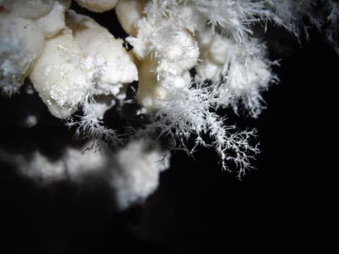 Aragonite frostwork on calcite crystal in Jewel Cave National Monument, South Dakota.