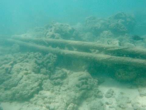 An undersea telephone cable off the coast of Oahu, Hawaii.