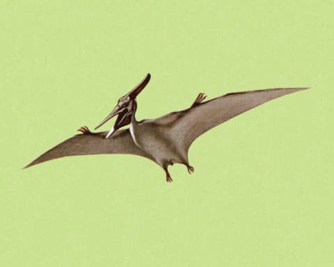 Pterodactyl came into English from Greek.