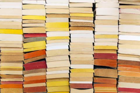 Pile of books to be destroyed? That's a 'skoob,' a.k.a. books backwards.